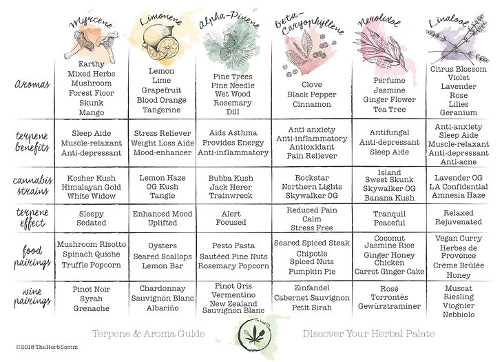 The Terpene & Aroma Pairing Guide The Herb Somm